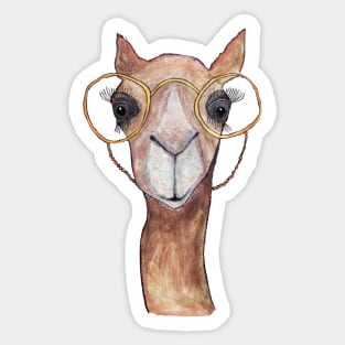 Camel Sticker